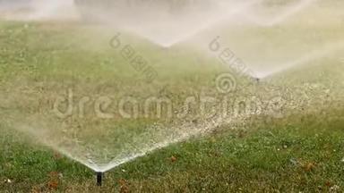 花园洒水器在夏天灌溉公园里的草。 <strong>自动</strong>灌溉<strong>系统</strong>